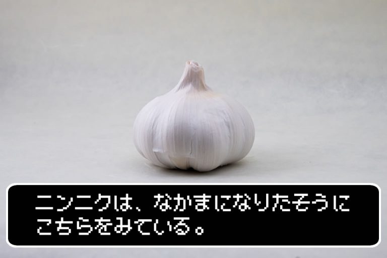 焼うどんの味付け何使う?醤油?ソース?アジコ?それとも・・・?! | oec調味料ブログ